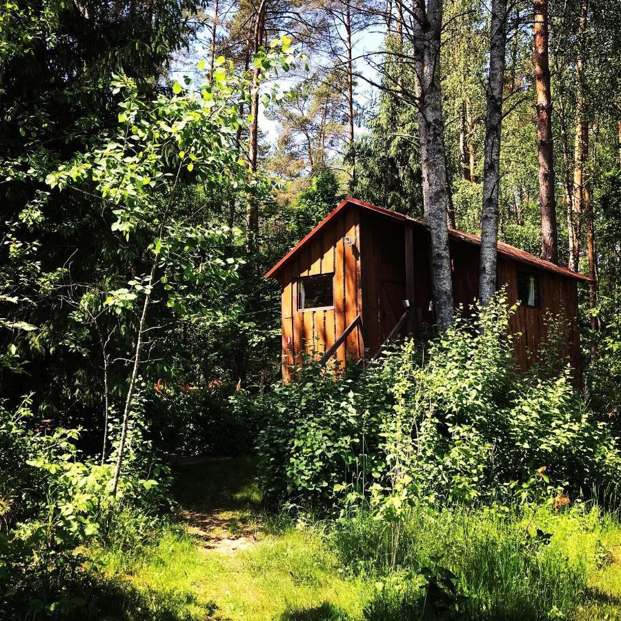 Nature Retreat "Upes Dizvietas" Kraslava Ngoại thất bức ảnh